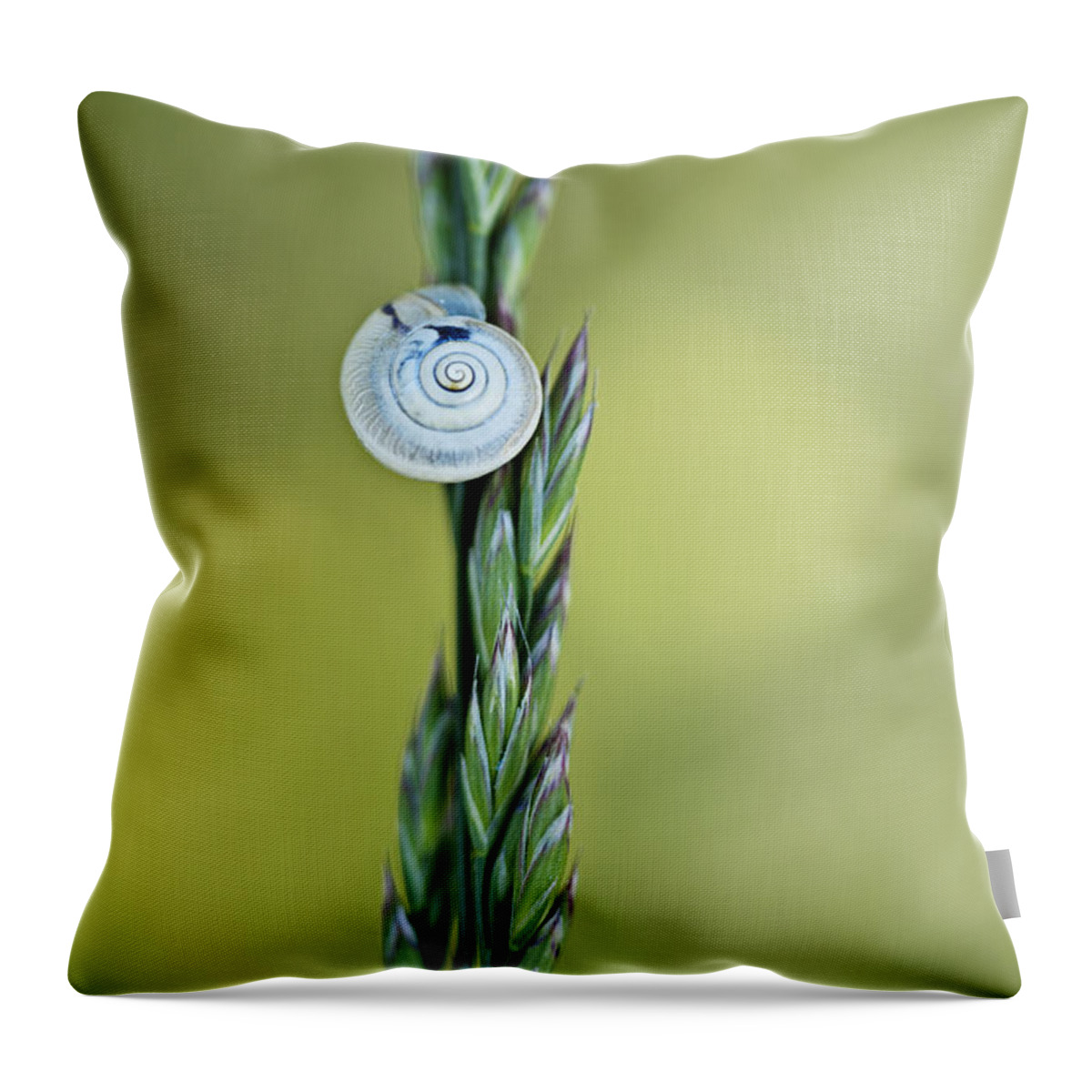 Snail Throw Pillow featuring the photograph Snail on Grass by Nailia Schwarz