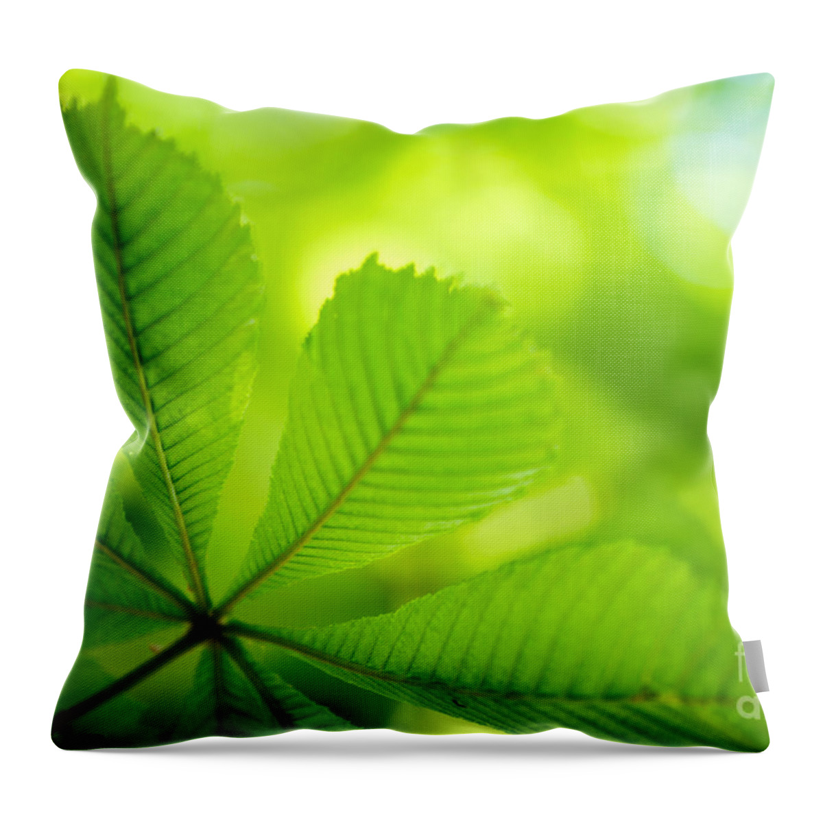 Conker Throw Pillow featuring the photograph Spring Green by Nailia Schwarz