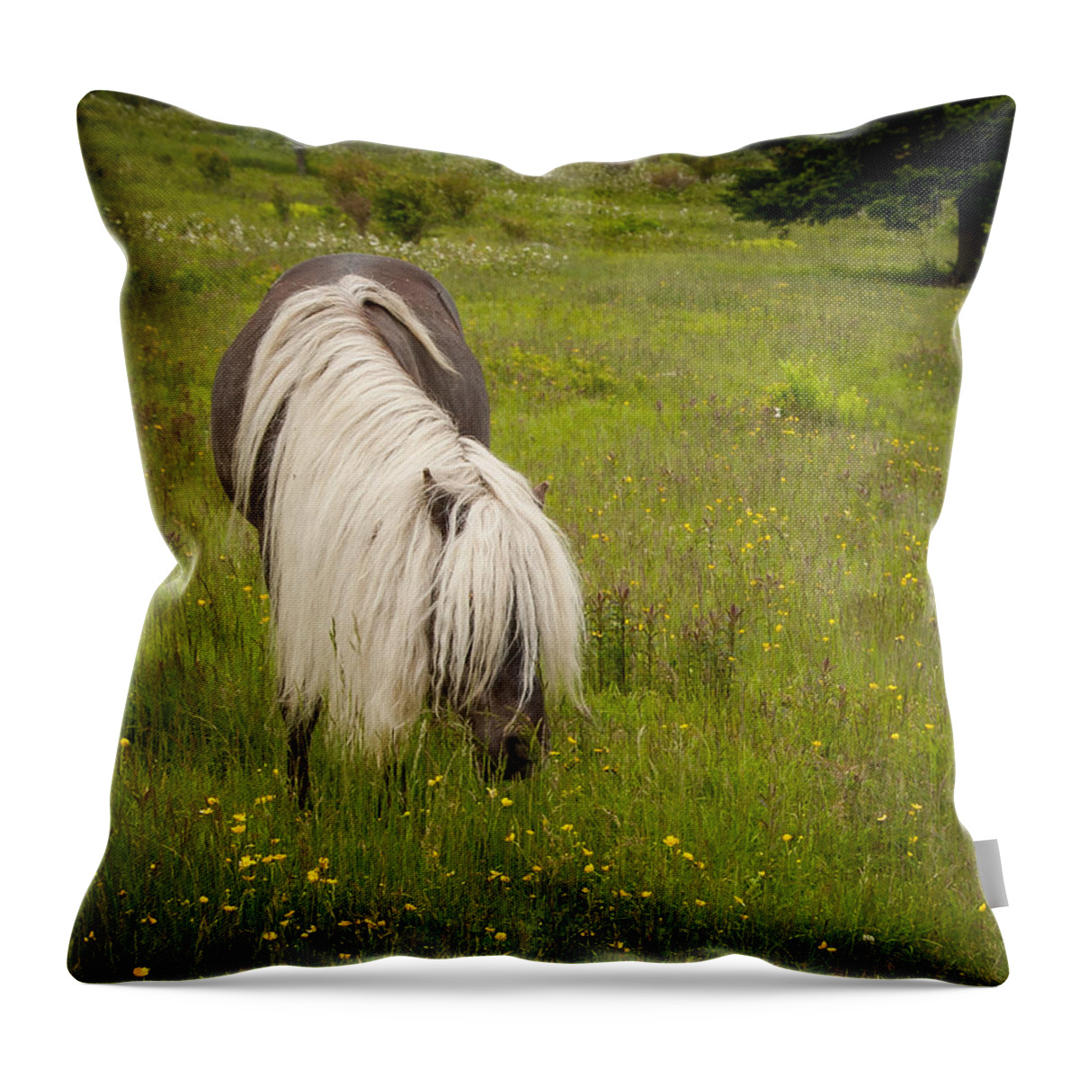 Appalachian Trail Throw Pillow featuring the photograph Wild Horses by Joye Ardyn Durham