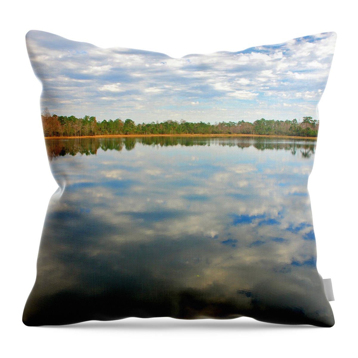  Throw Pillow featuring the photograph 39- Reflections by Joseph Keane