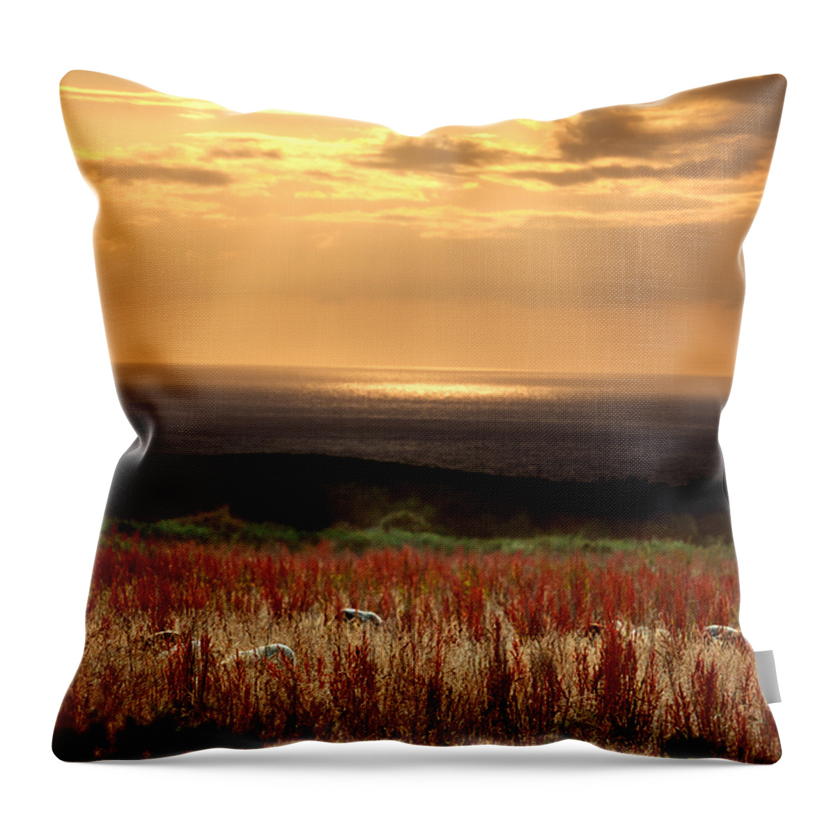 Sun Throw Pillow featuring the photograph Evening at the Sea by Nailia Schwarz