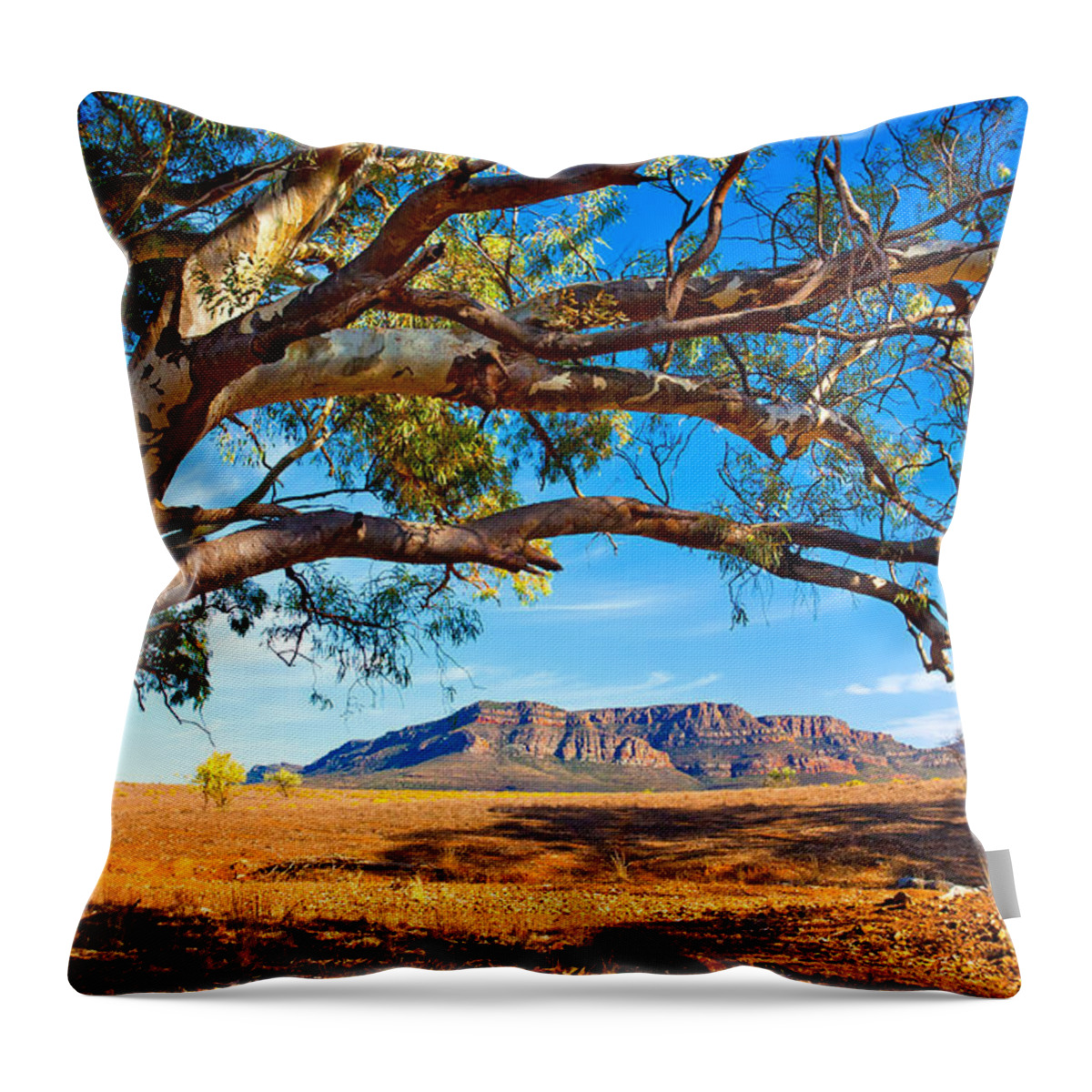 Wilpena Pound Flinders Ranges South Australia Outback Landscape Throw Pillow featuring the photograph Wilpena Pound by Bill Robinson