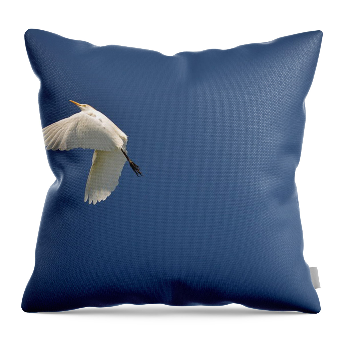 Wildlife Throw Pillow featuring the photograph 5- Cattle Egret by Joseph Keane