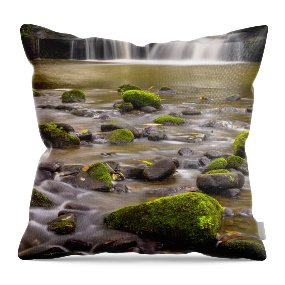 Airedale Throw Pillow featuring the photograph Goit Stock Waterfall by Mariusz Talarek