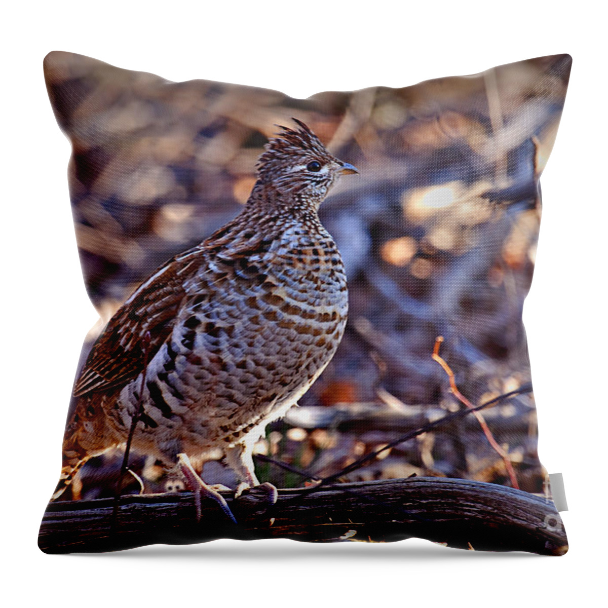 Bedford Throw Pillow featuring the photograph Ruffed Grouse by Ronald Lutz