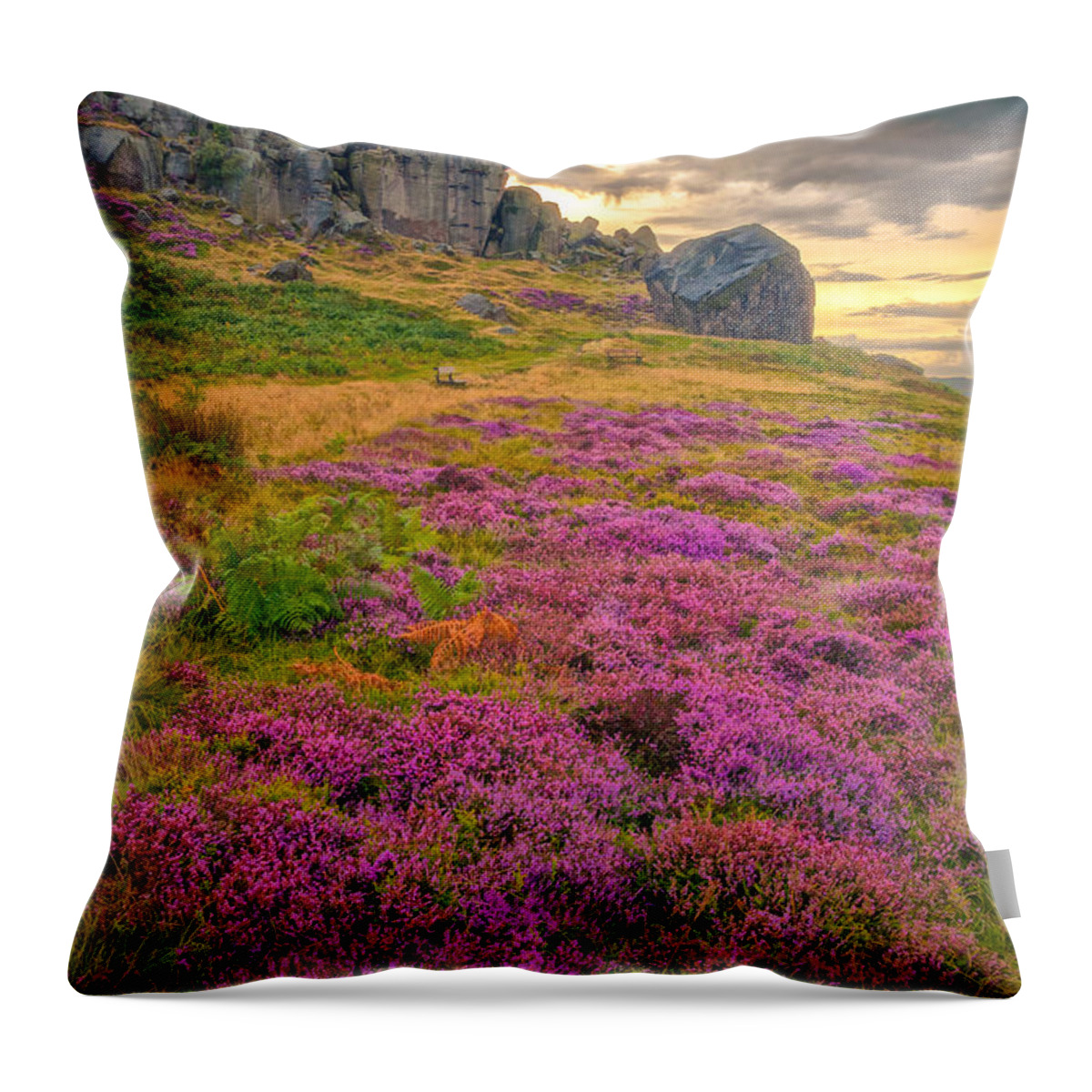 Airedale Throw Pillow featuring the photograph Cow and Calf Rocks by Mariusz Talarek
