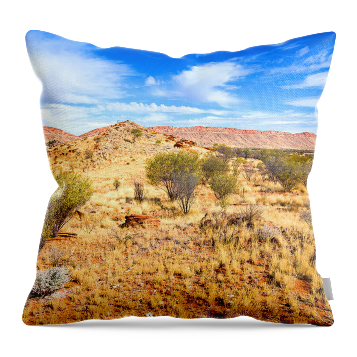Central Australia Landscape Outback Water Hole West Mcdonnell Ranges Northern Territory Australian Landscapes Ghost Gum Trees Larapinta Drive Throw Pillow featuring the photograph West McDonnell Ranges Larapinta Drive by Bill Robinson