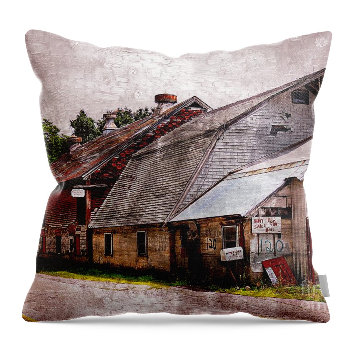 Architecture Throw Pillow featuring the photograph A Barn With Many Purposes by Marcia Lee Jones