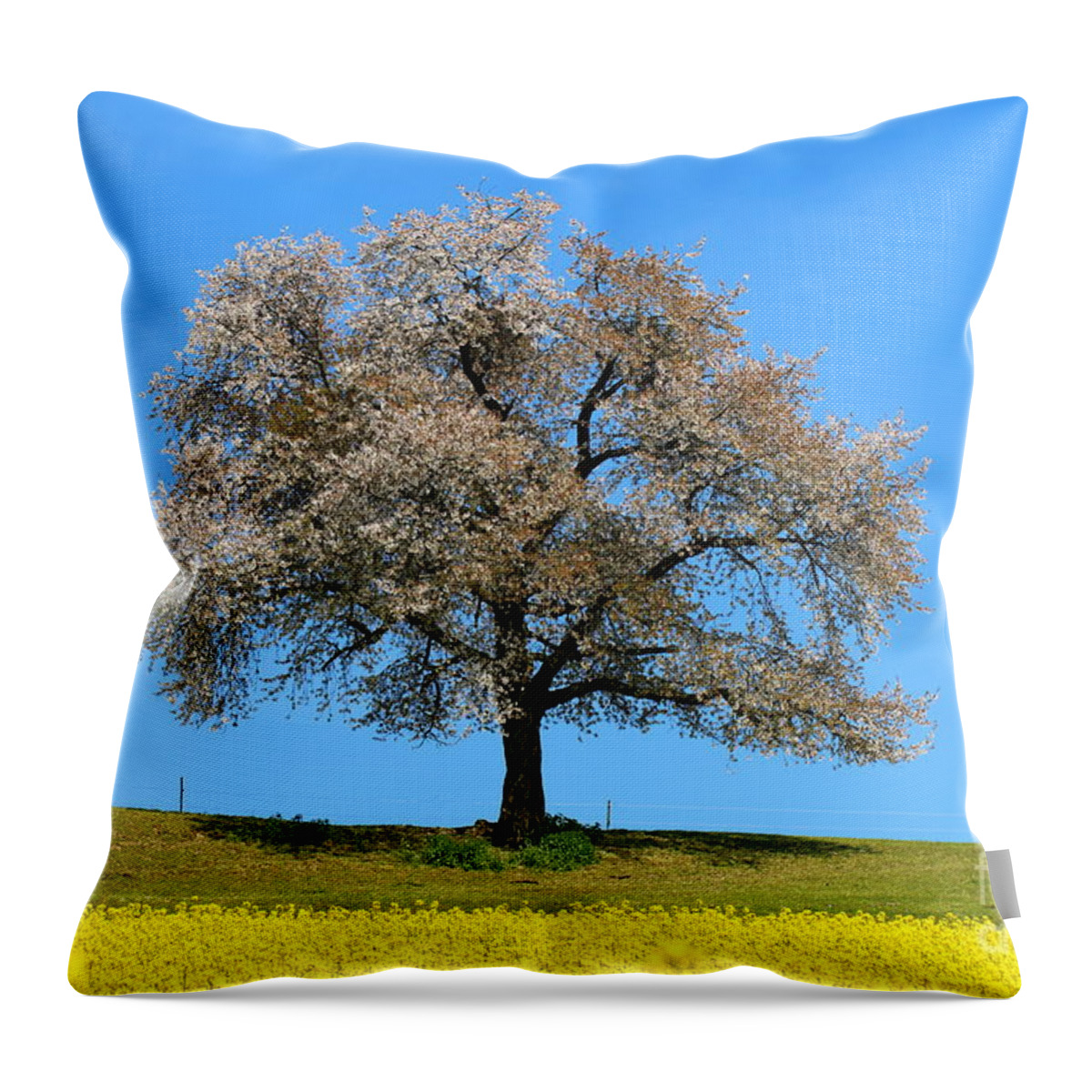  Agriculture Throw Pillow featuring the photograph A blooming lone Tree in Spring with canolas in front 2 by Amanda Mohler
