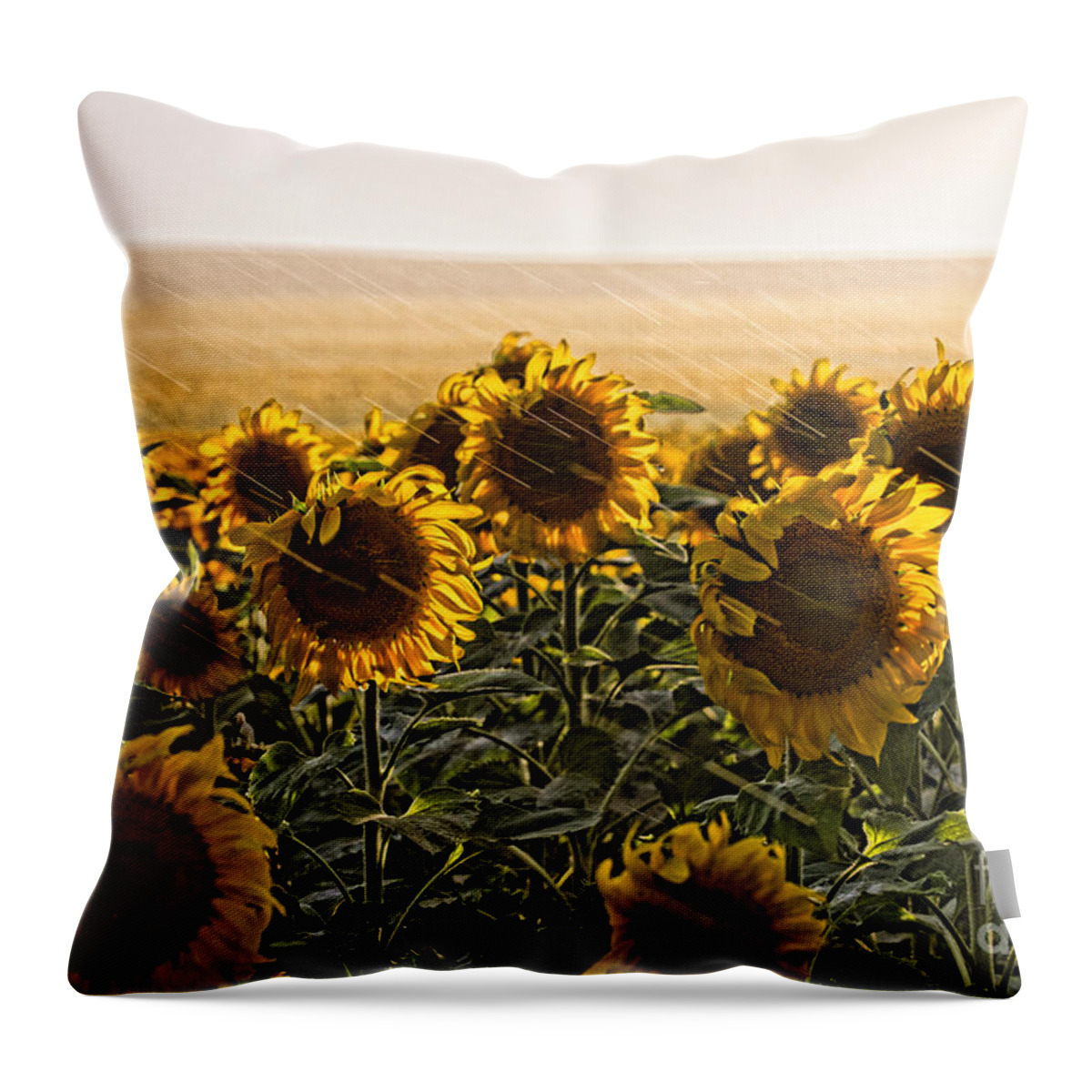 Flowers Throw Pillow featuring the photograph A Chance of Showers by Jim Garrison