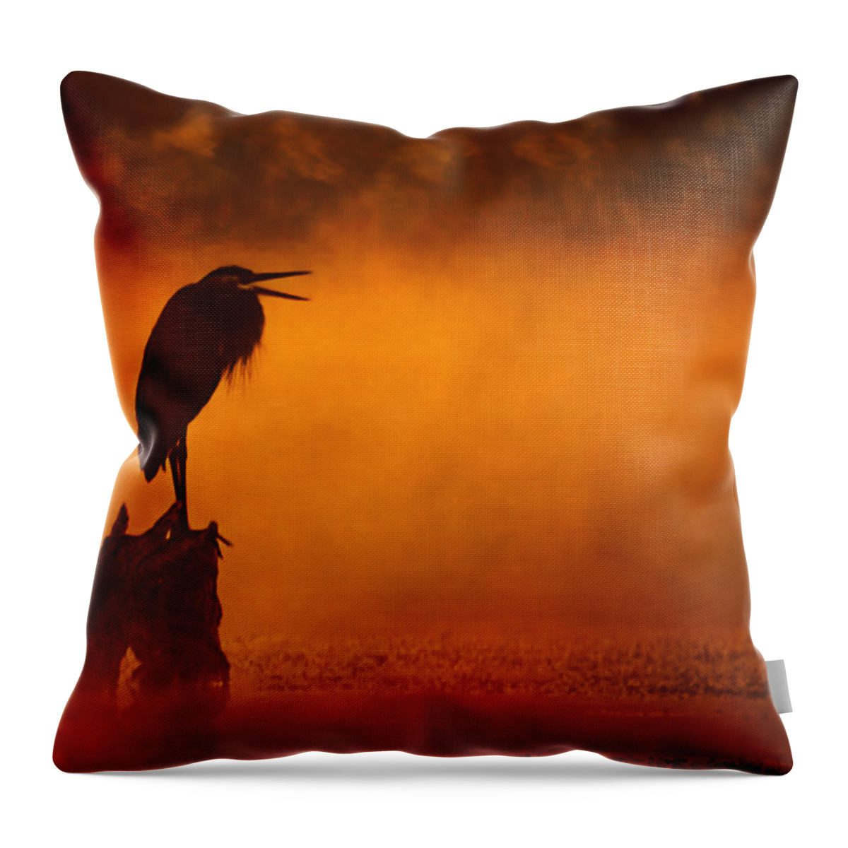 2007 Throw Pillow featuring the photograph A Cry in the Mist by Robert Charity