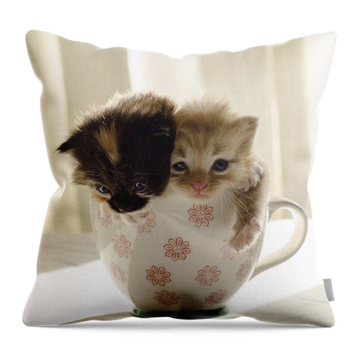 Cute Throw Pillow featuring the photograph A cup of cuteness by Spikey Mouse Photography