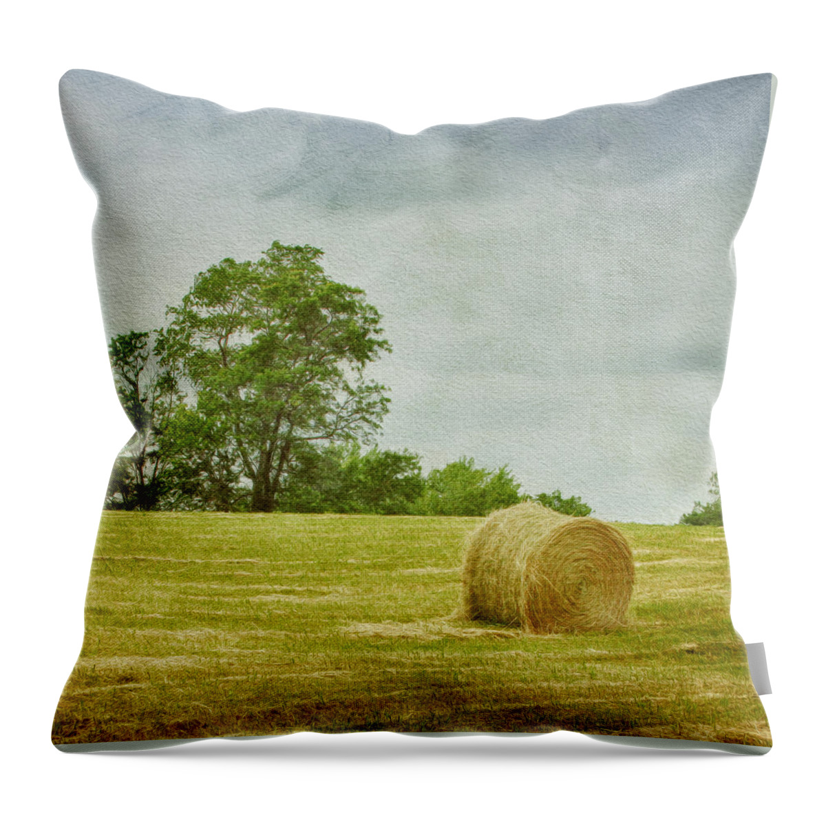 Agricultural Throw Pillow featuring the photograph A Day at the Farm by Kim Hojnacki