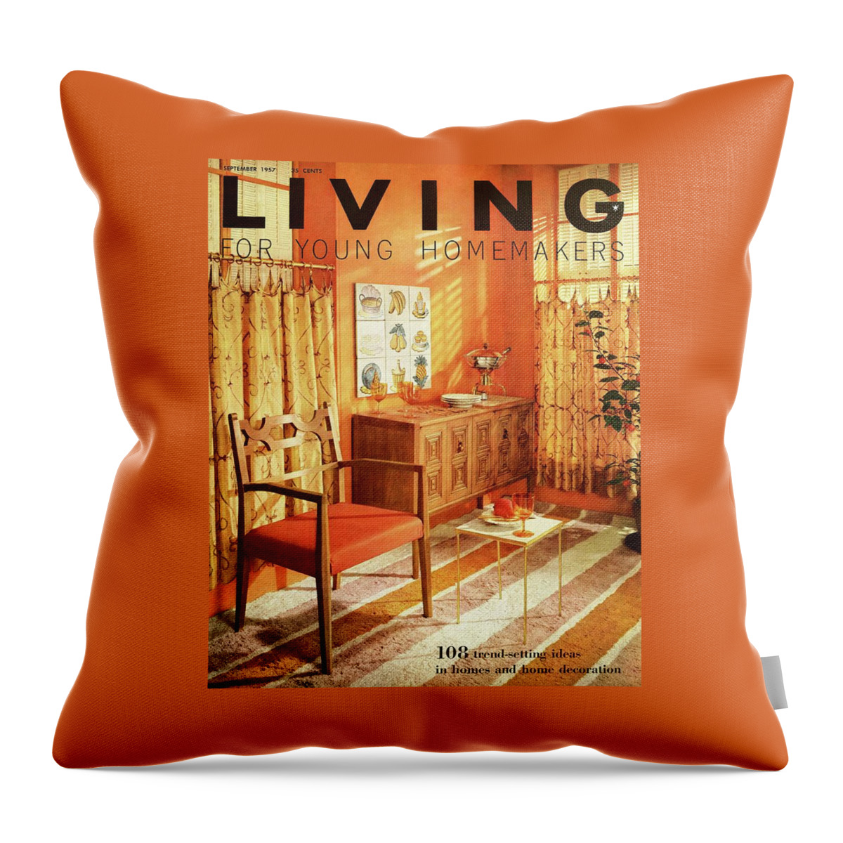 A Living Room With Furniture By Mt Airy Chair Throw Pillow