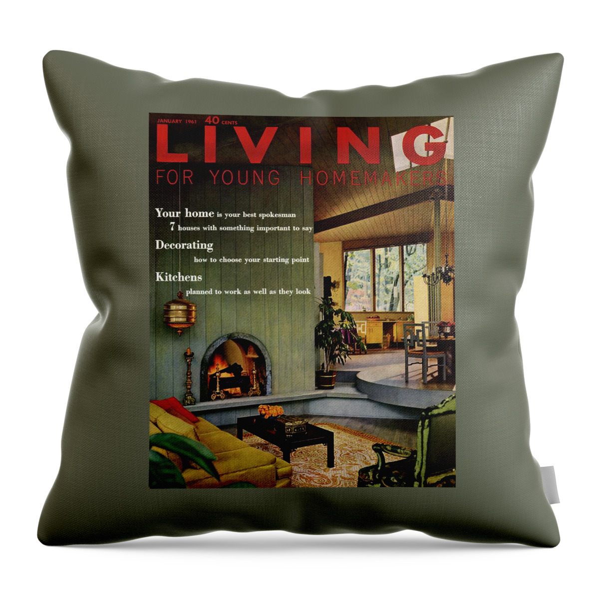 A Living Room With Sherwin-williams Wood-paneling Throw Pillow