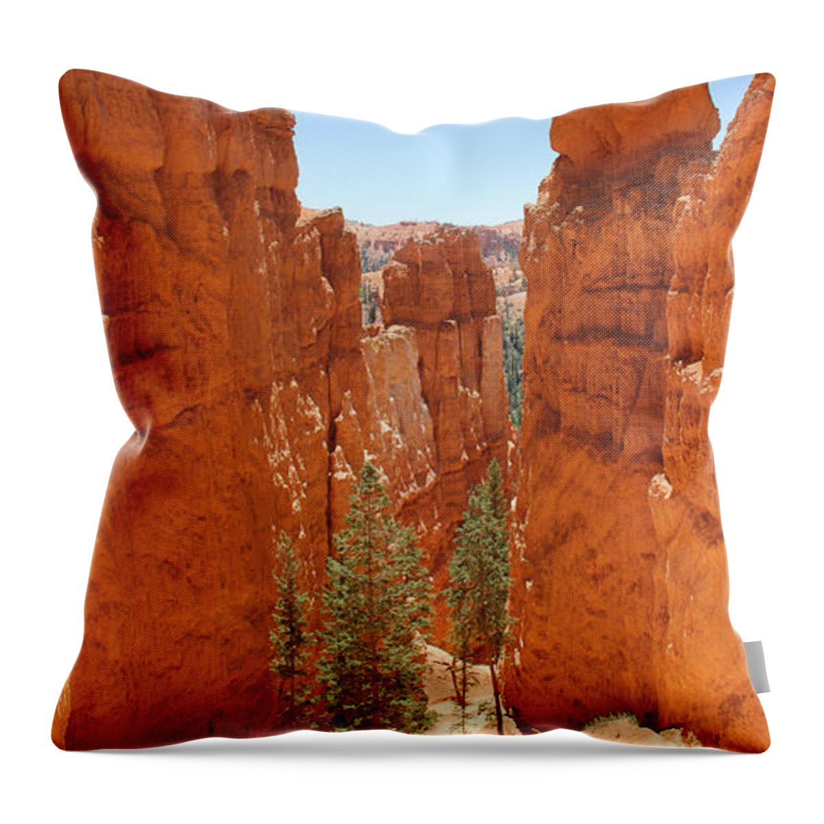 Southwest Throw Pillow featuring the photograph A Long Way to the Top by Mike McGlothlen