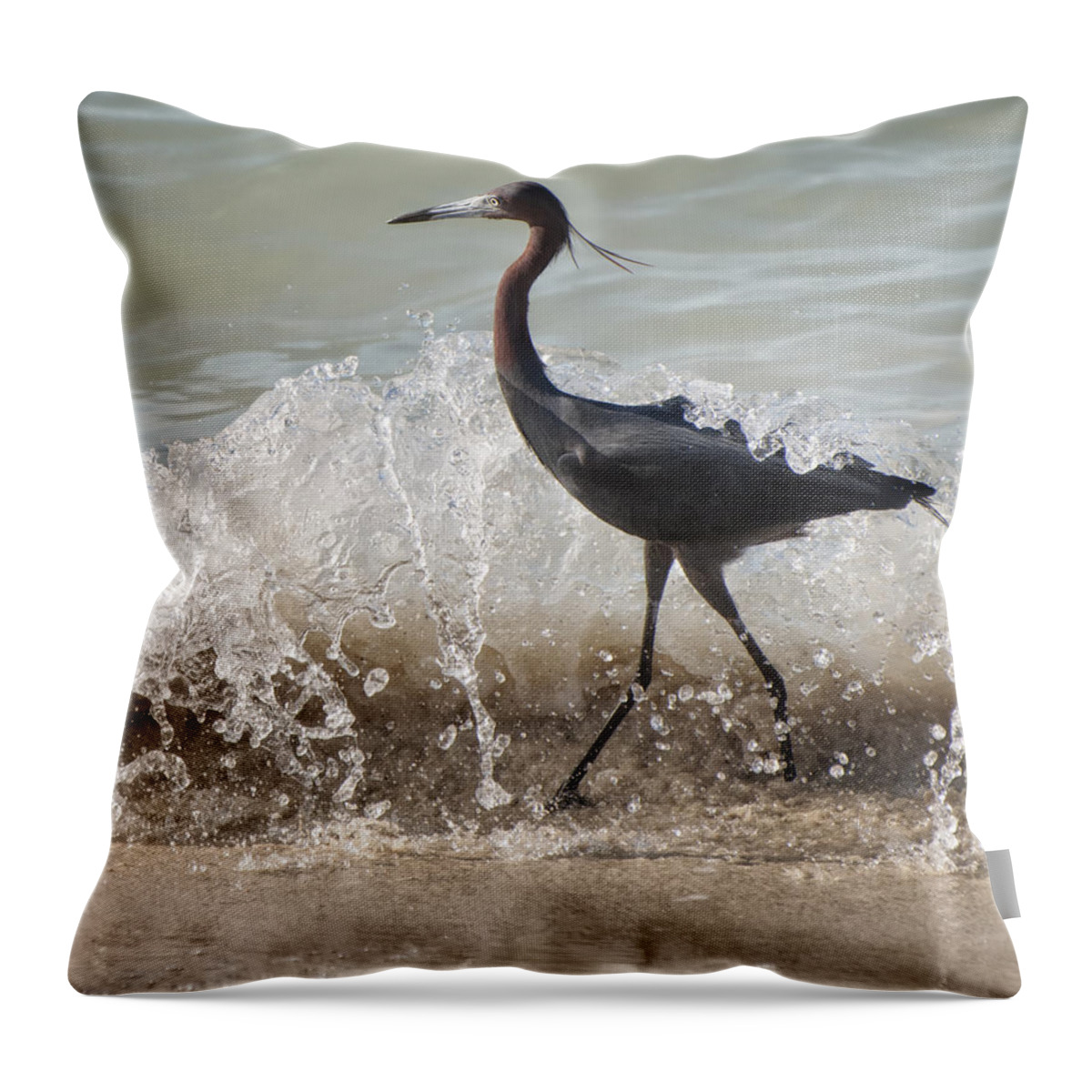 Jamaica Throw Pillow featuring the photograph A Morning Stroll Interrupted by Gary Slawsky