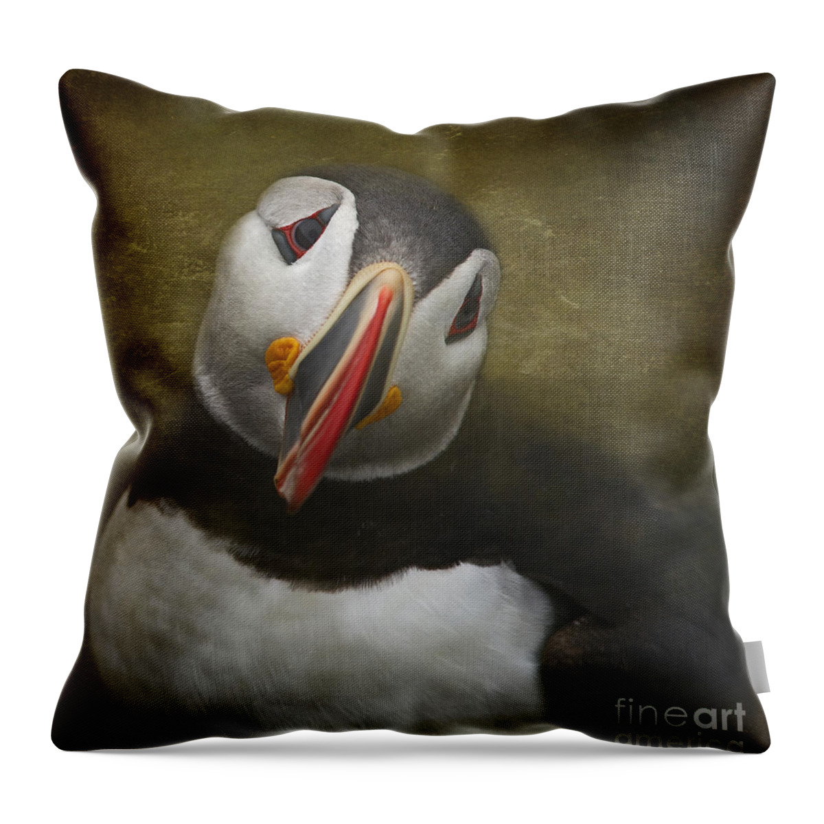 Festblues Throw Pillow featuring the photograph A Portrait of the Clown of the Sea by Nina Stavlund