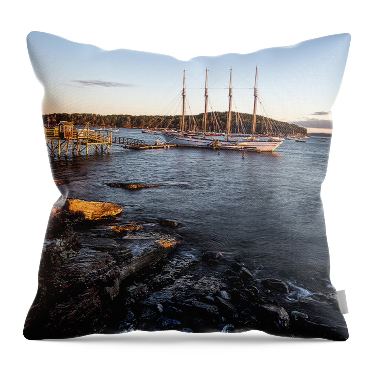 Vertical Throw Pillow featuring the photograph A Ship by Jon Glaser