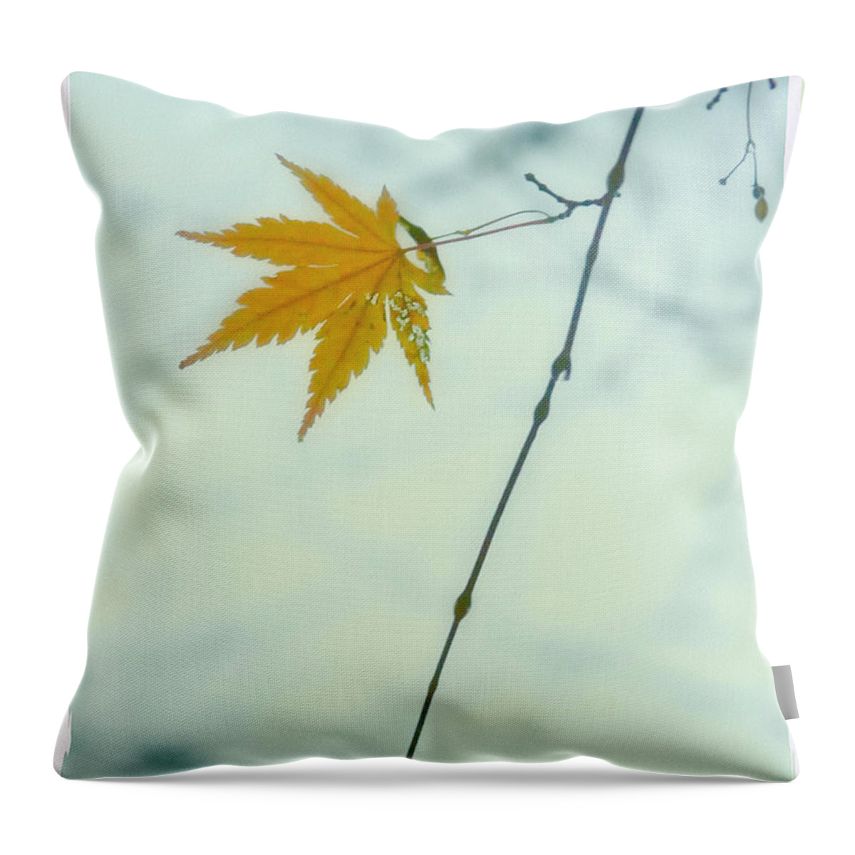 Fall Throw Pillow featuring the photograph A Single Leaf by Jonathan Nguyen