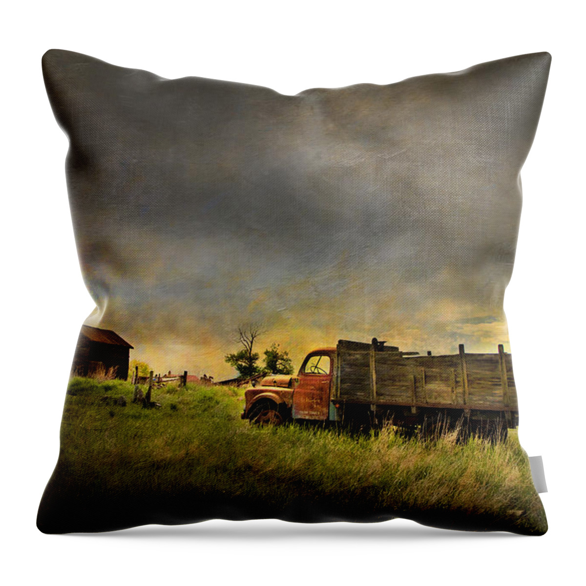 Dodge Throw Pillow featuring the photograph Abandoned Farm Truck by Theresa Tahara