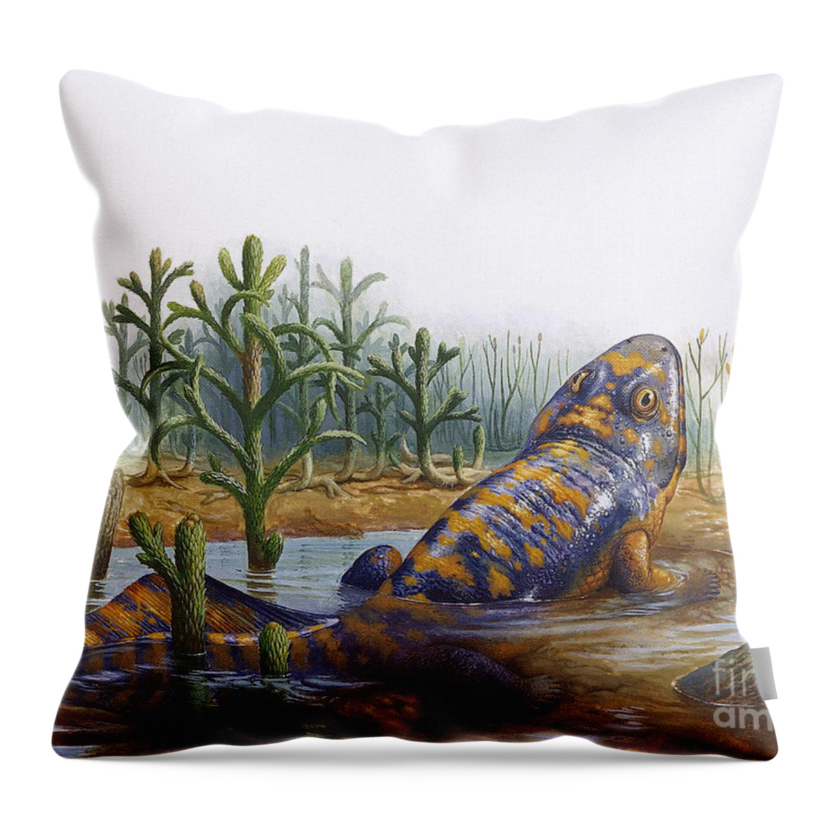 Acanthostega, Primitive Tetrapod Throw Pillow by Publiphoto - Fine Art  America