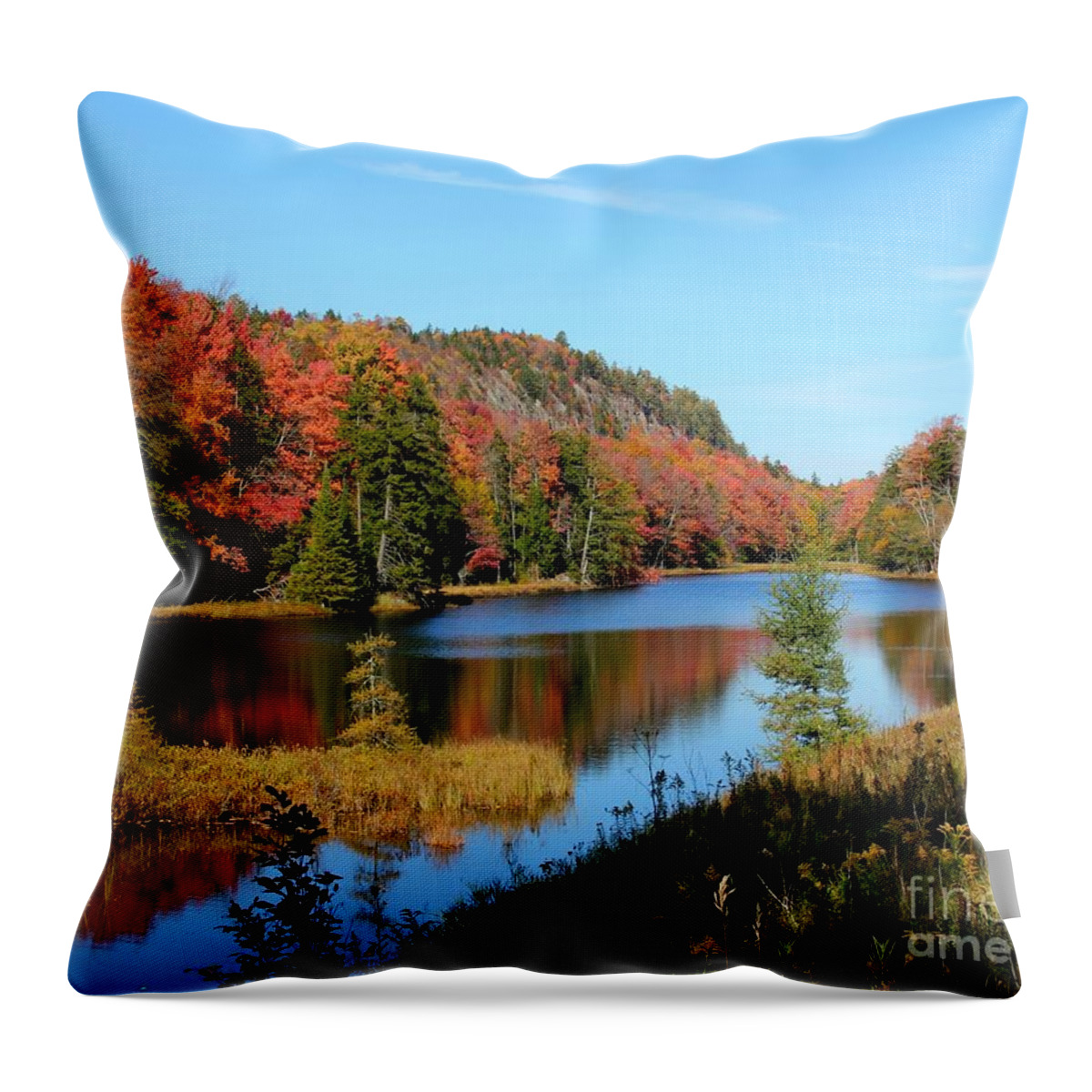 Adirondacks Throw Pillow featuring the photograph Adirondack Splendor by Rod Best