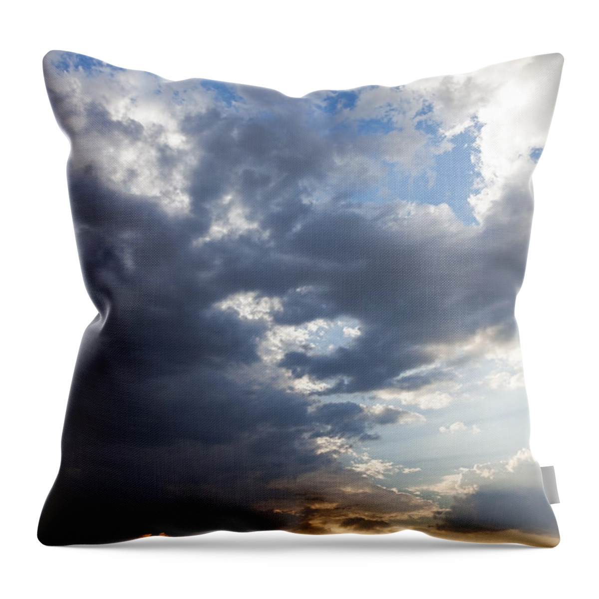 Vincent Grafhorst Throw Pillow featuring the photograph African Elephants At Sunset Botswana by Vincent Grafhorst