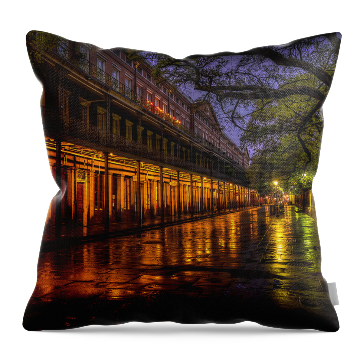 David Morefield Throw Pillow featuring the photograph After the Rain by David Morefield