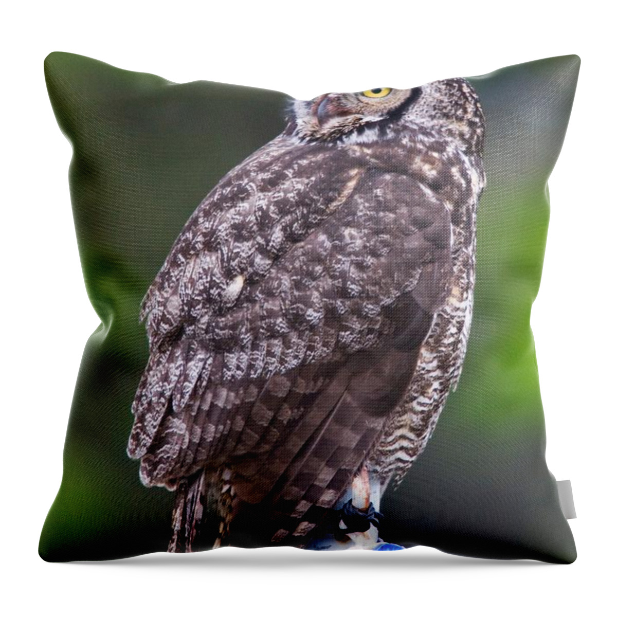 Wildlife Throw Pillow featuring the digital art Alaskan Owl by National Park Service