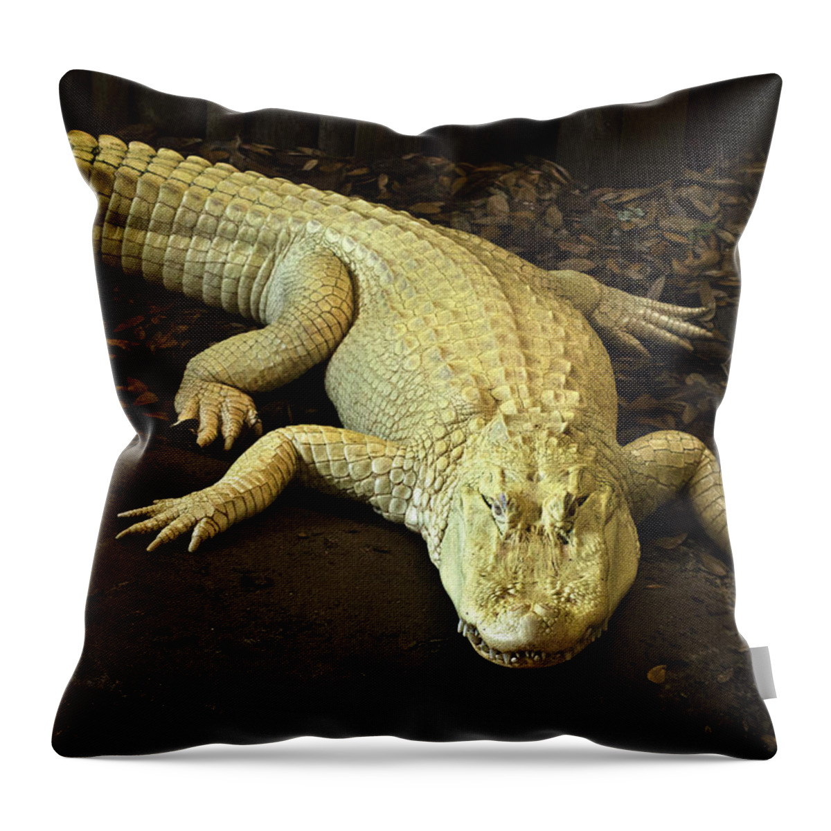  Throw Pillow featuring the photograph Albino Alligator by Bill Barber