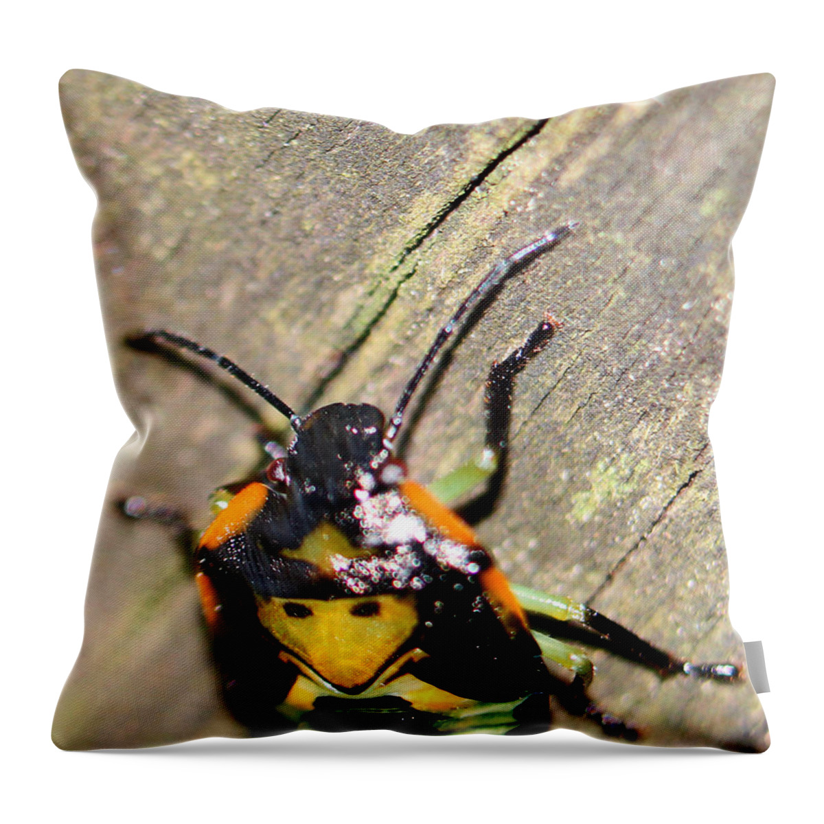 Insects Throw Pillow featuring the photograph Alien Creature by Jennifer Robin
