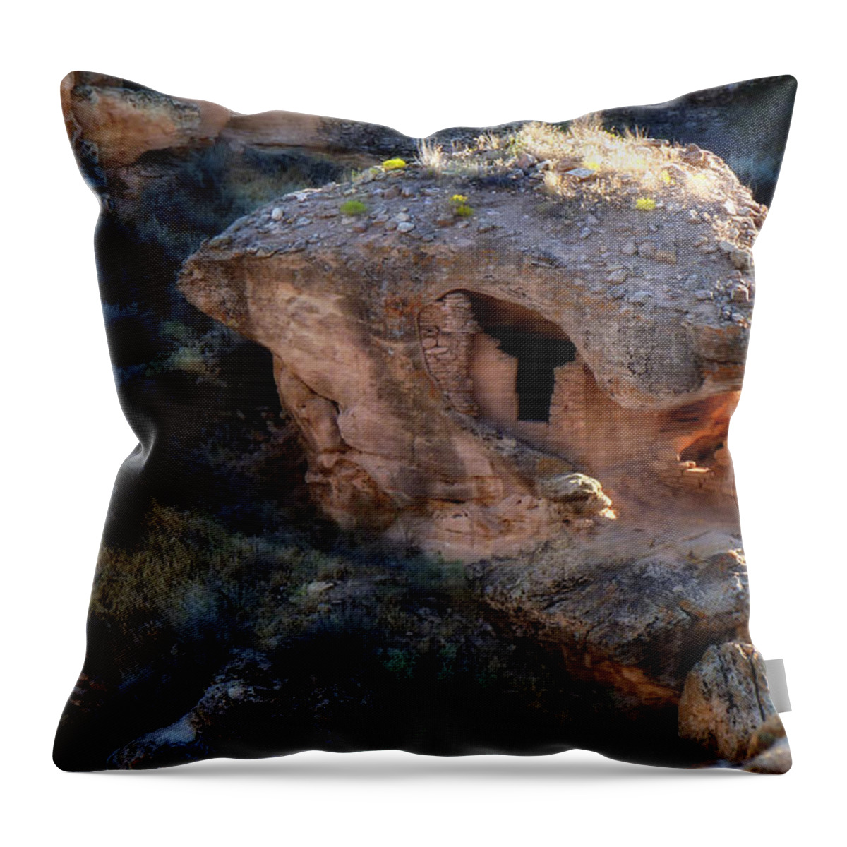 Sherry Day Throw Pillow featuring the photograph Alien House by Ghostwinds Photography