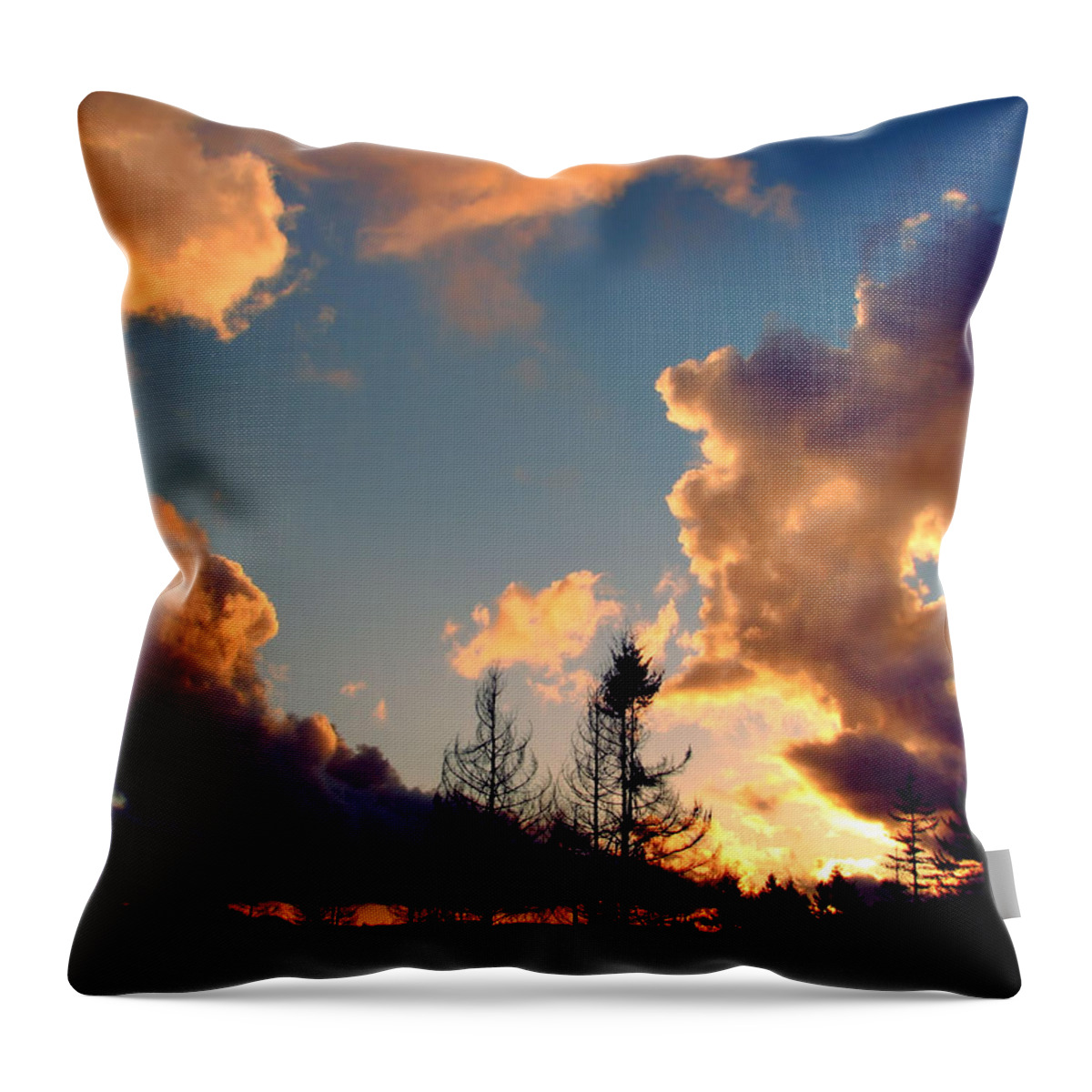 Landscape Throw Pillow featuring the photograph All Kinds Of Weather by Rory Siegel