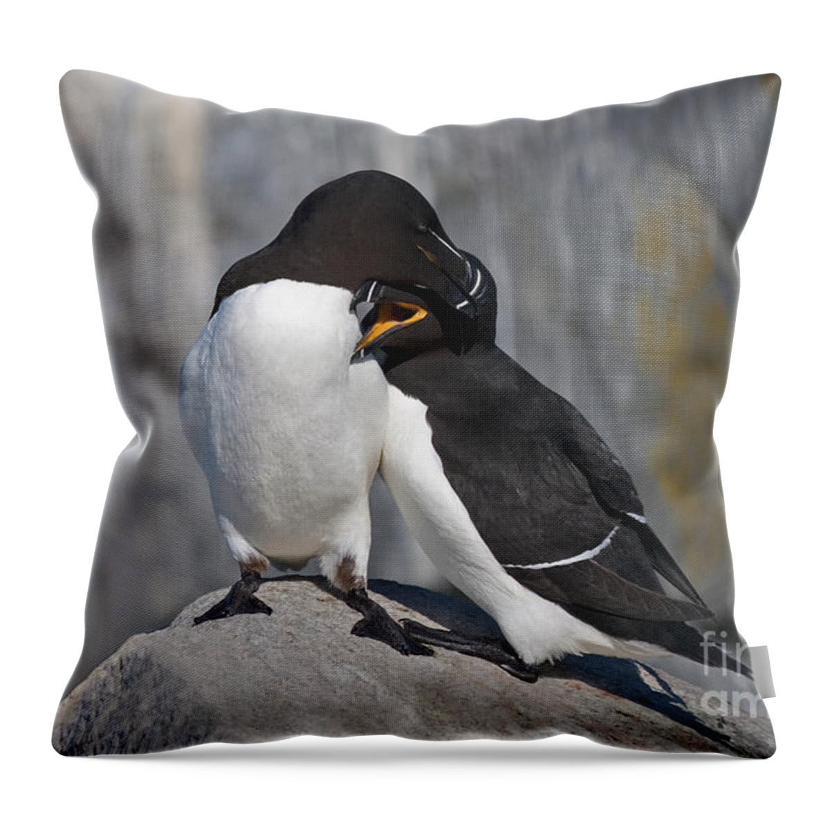 Festblues Throw Pillow featuring the photograph All You Need is Love... by Nina Stavlund
