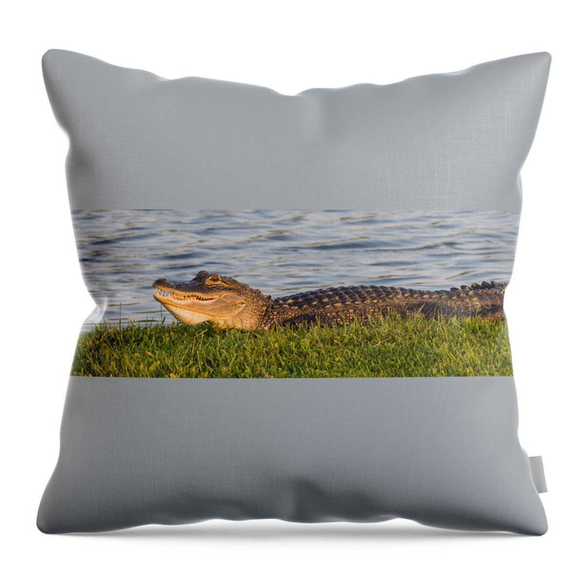 Alligator Throw Pillow featuring the photograph Alligator Smile by Ed Gleichman