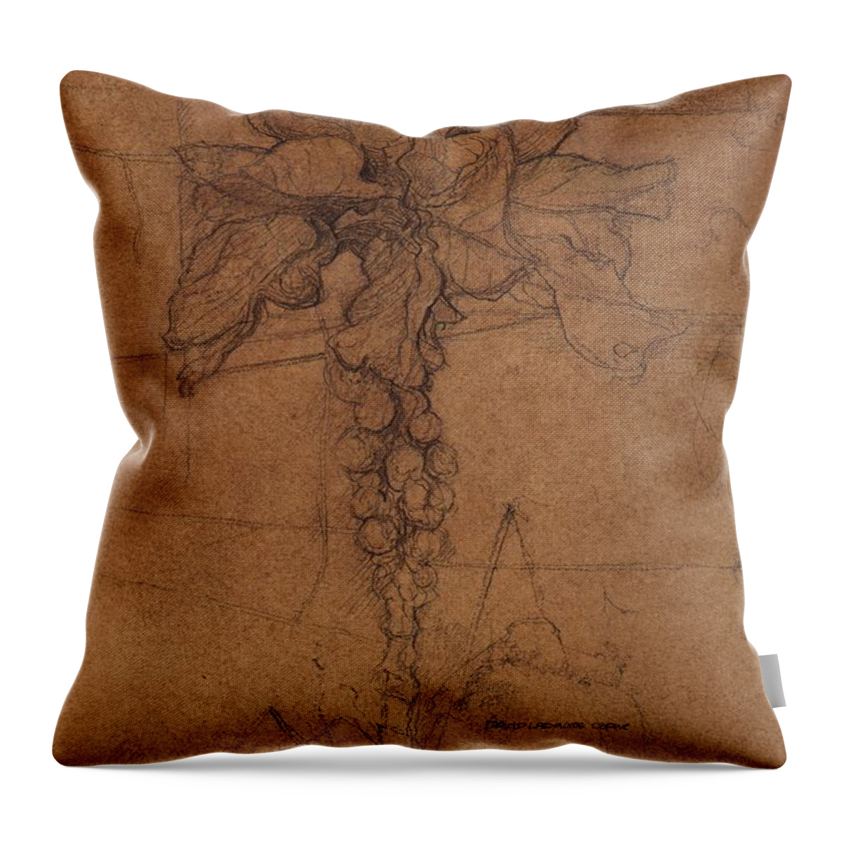 Plant Throw Pillow featuring the drawing Allotment Study by David Ladmore