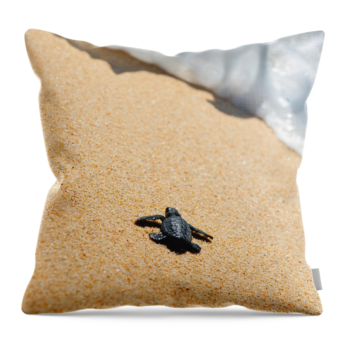 Beach Throw Pillow featuring the photograph Almost Home by Sebastian Musial