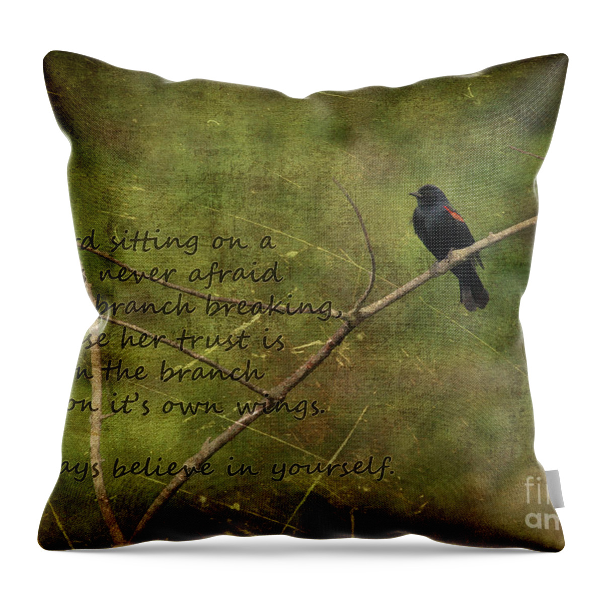 Believe In Yourself Throw Pillow featuring the digital art Always Believe in Yourself by Jayne Carney