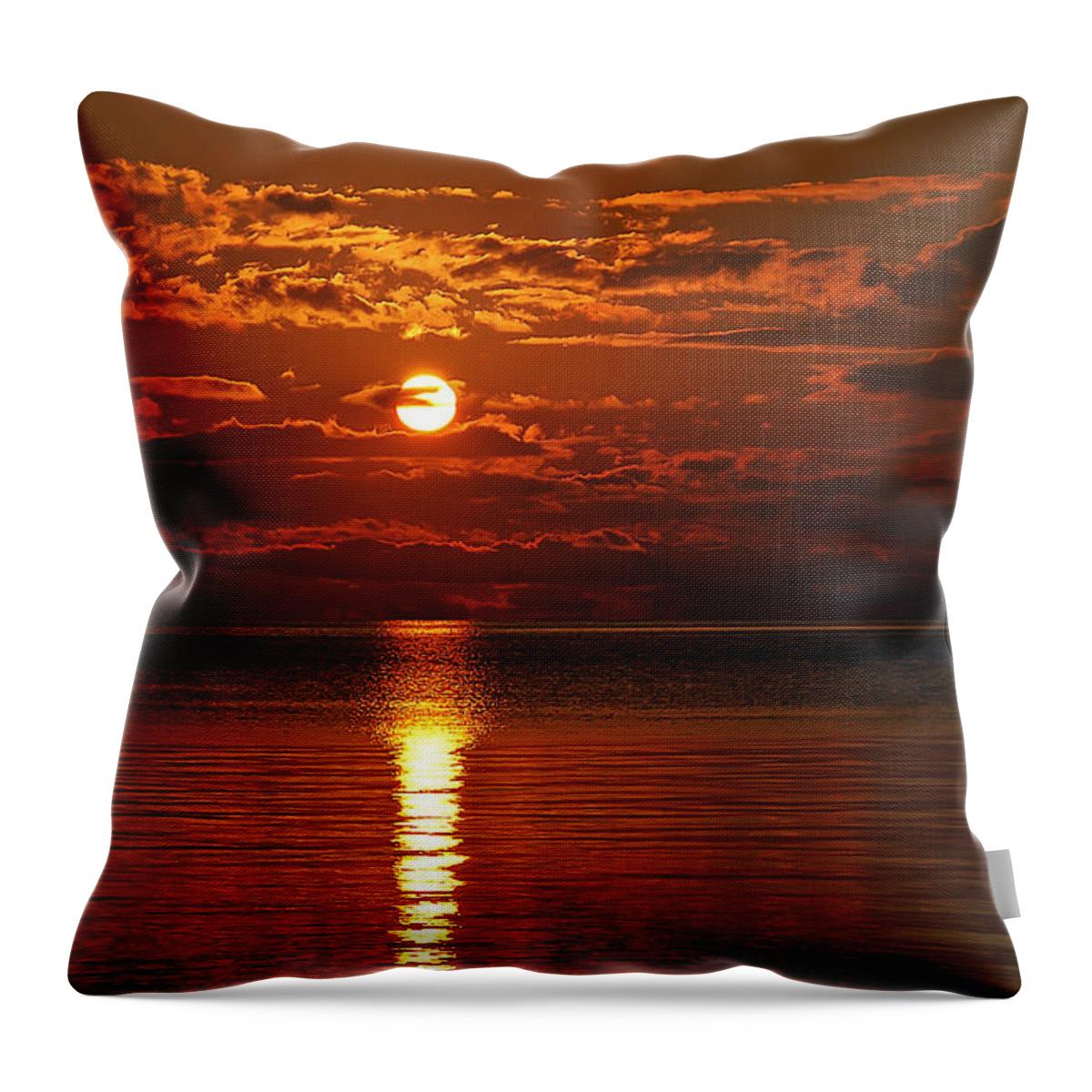 Sunset Throw Pillow featuring the photograph Amazing Sunset by Aimee L Maher ALM GALLERY