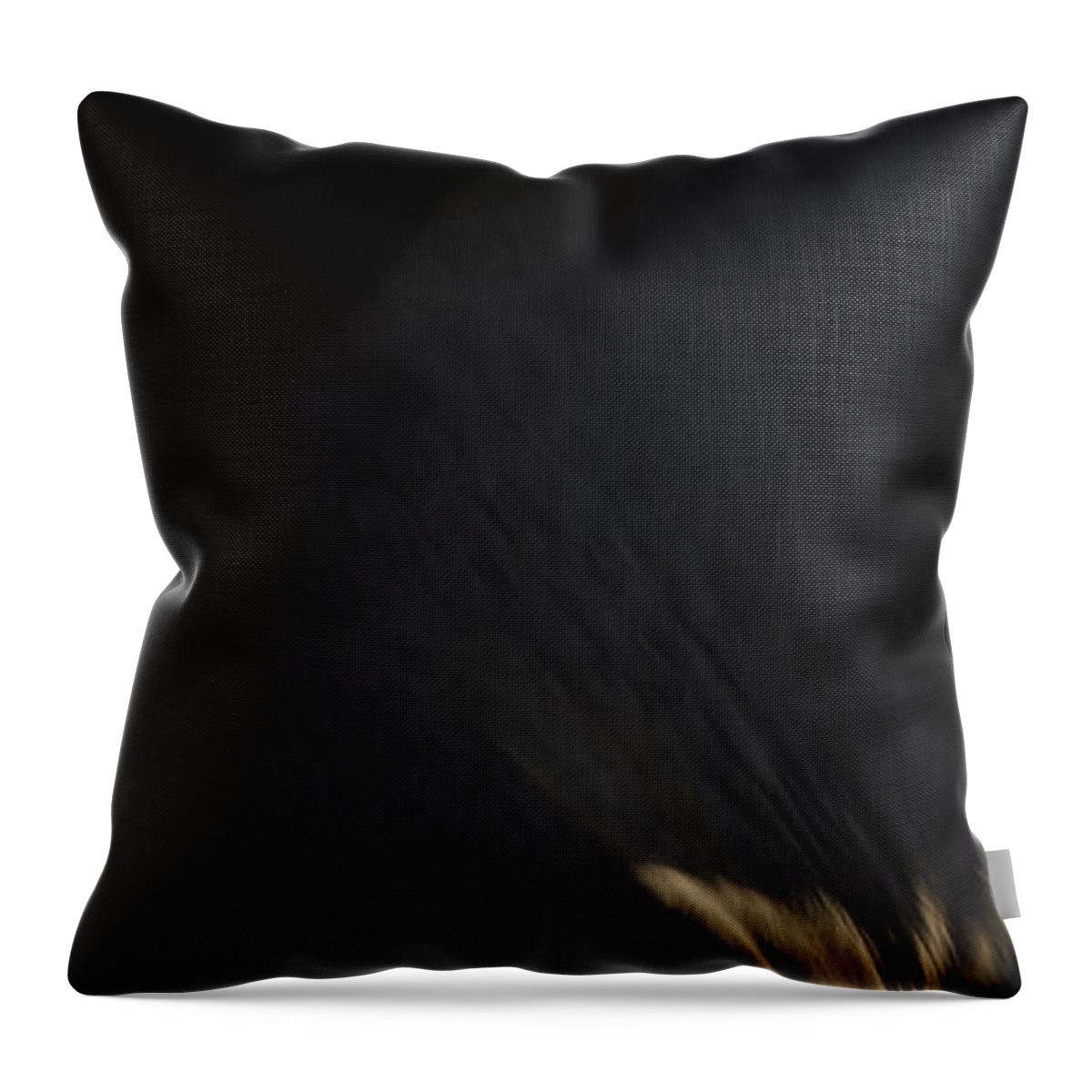 Andalusia Throw Pillow featuring the photograph Americano 18 by Catherine Sobredo
