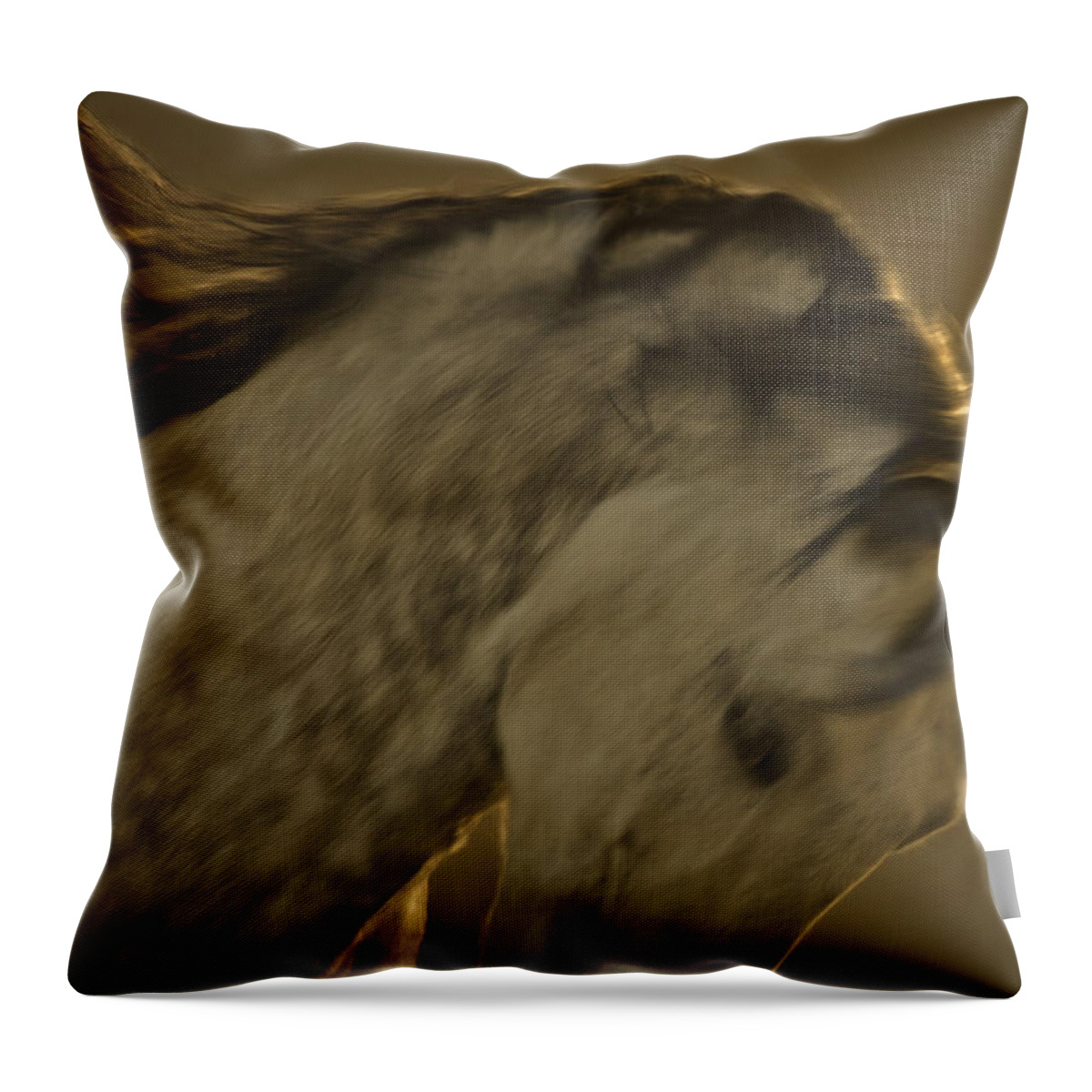 Andalusia Throw Pillow featuring the photograph Americano 2 by Catherine Sobredo