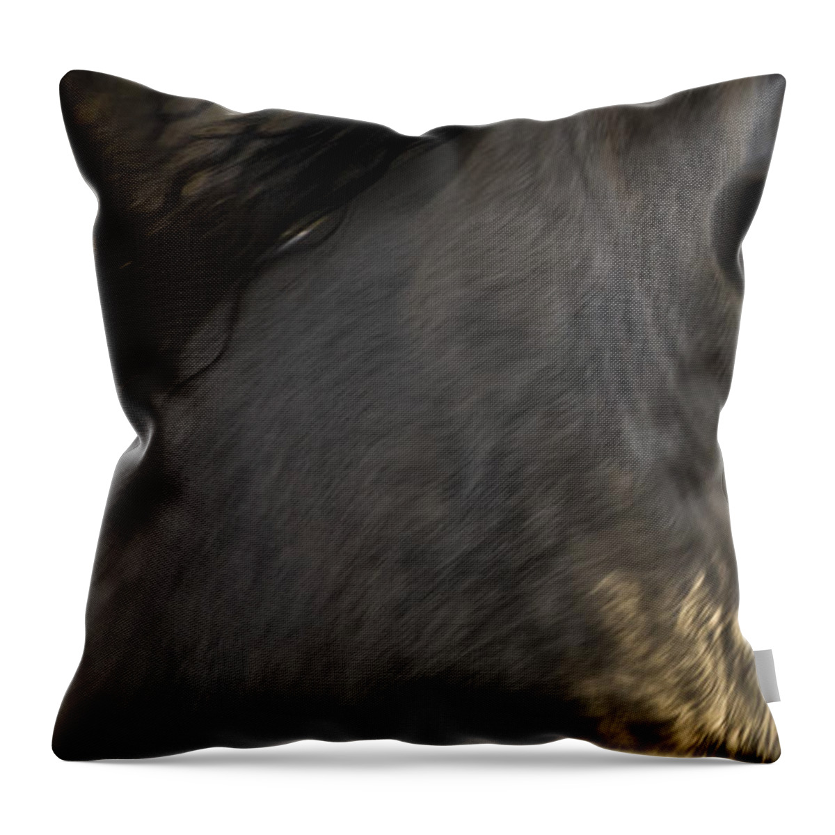 Andalusia Throw Pillow featuring the photograph Americano 3 by Catherine Sobredo