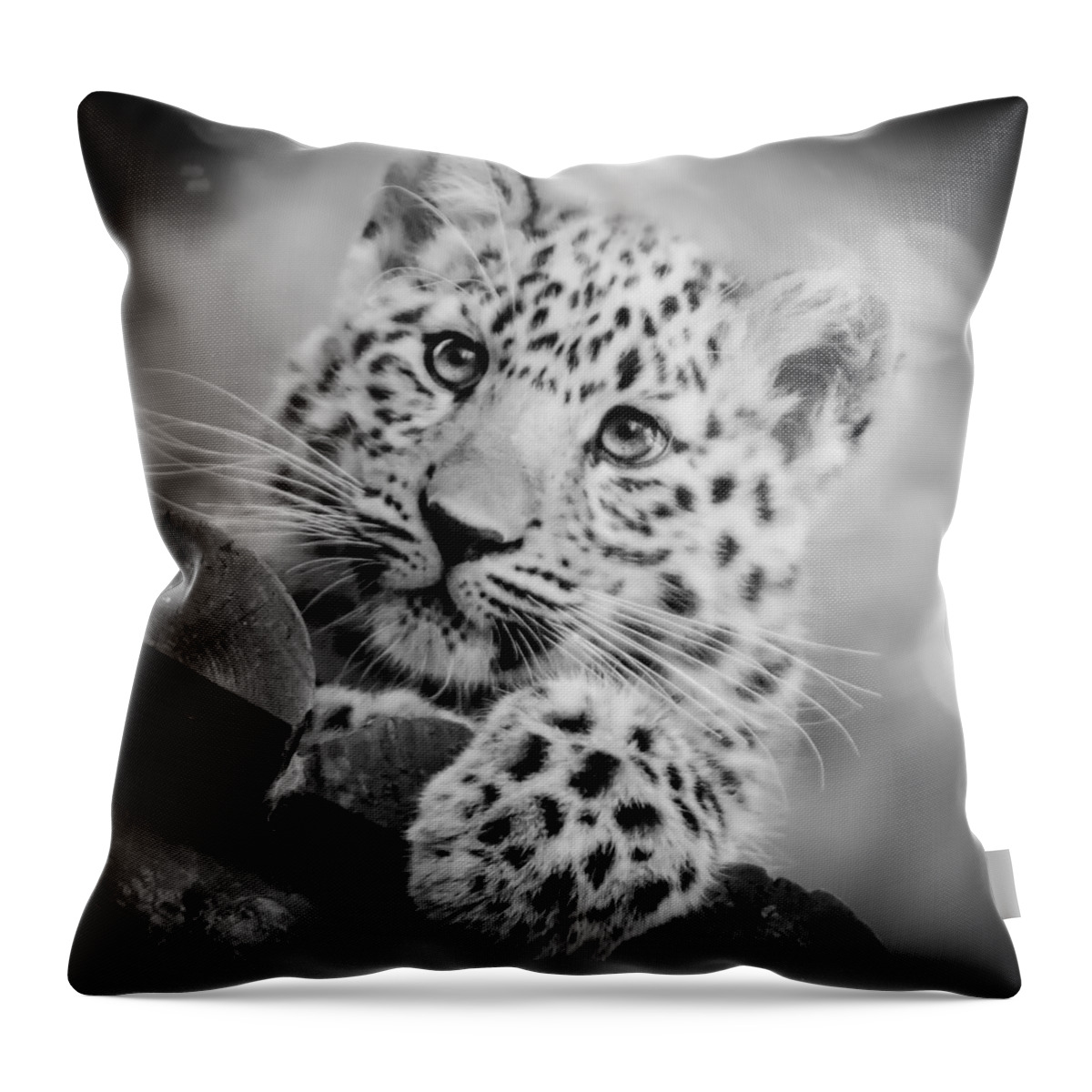 Amur Throw Pillow featuring the photograph Amur Leopard Cub Portrait by Chris Boulton
