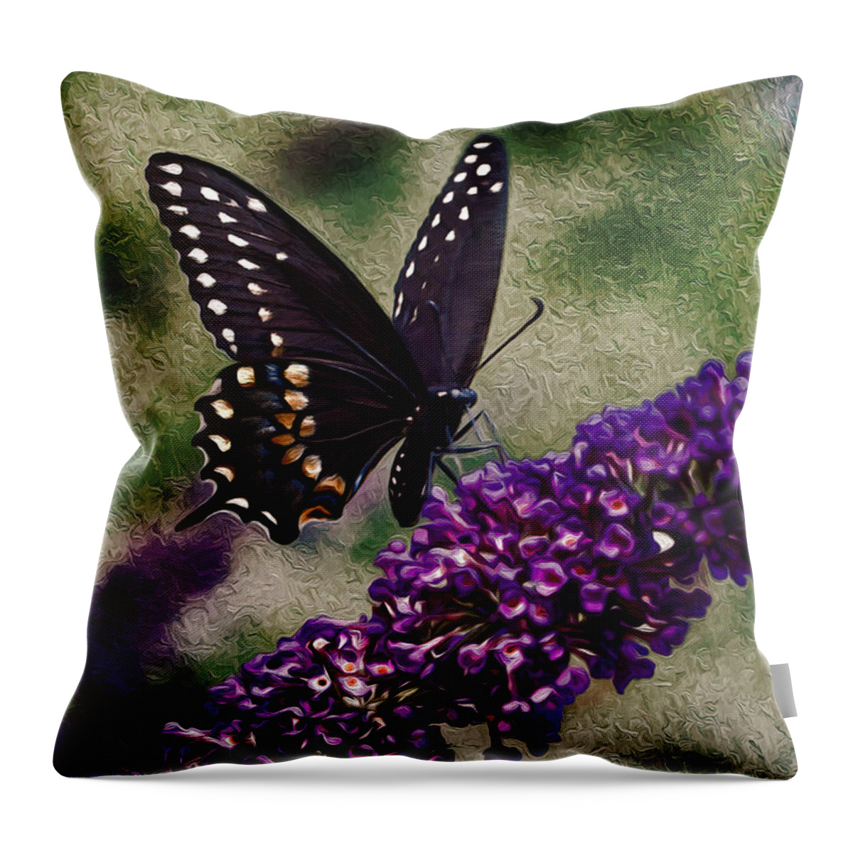 Black Butterflies Throw Pillow featuring the photograph An afternoon visitor by Jeff Folger
