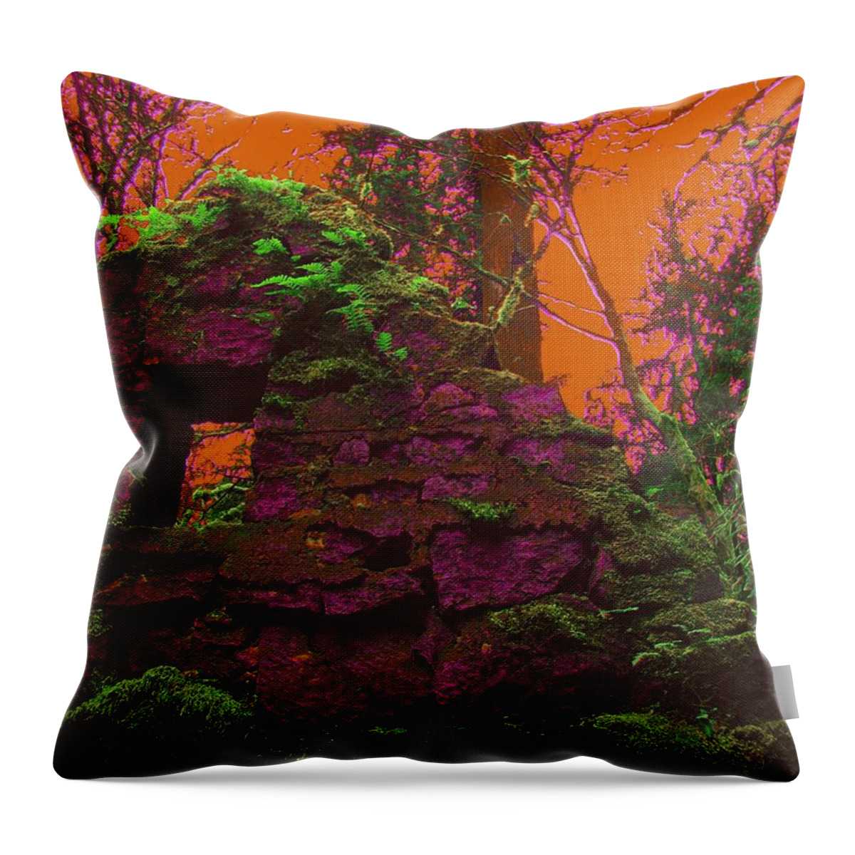 Stone House Throw Pillow featuring the photograph Anarchy's Playhouse by Laureen Murtha Menzl