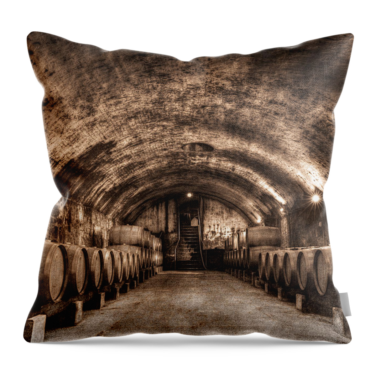 Ancient Aging Throw Pillow featuring the photograph Ancient Aging by William Fields