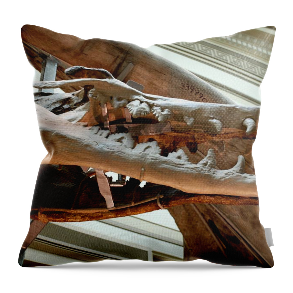 Dinosaur Throw Pillow featuring the photograph Ancient Crocodile Dinosaur by Kenny Glover
