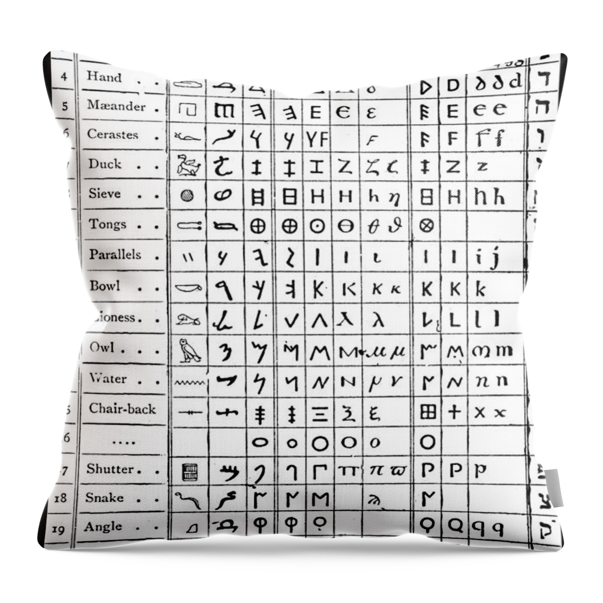https://render.fineartamerica.com/images/rendered/default/throw-pillow/images-medium-5/ancient-pictograms-heiroglyphs-science-source.jpg?&targetx=0&targety=-107&imagewidth=479&imageheight=693&modelwidth=479&modelheight=479&backgroundcolor=FDFDFD&orientation=0&producttype=throwpillow-14-14
