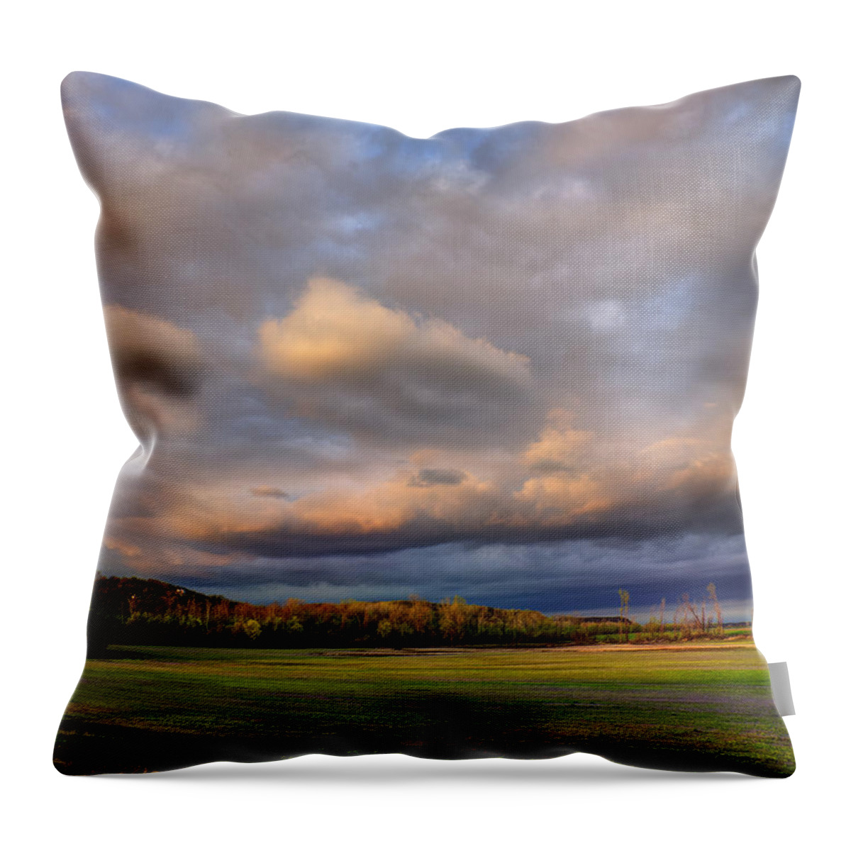 And The Earth Now Awakens Throw Pillow featuring the photograph And the Earth Now Awakens by William Fields